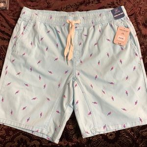 Pale blue shorts with bird design. Large size. 9 inch inseam. Elastic waist. NWT